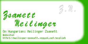 zsanett meilinger business card